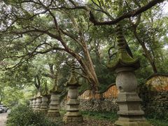 -天台山景区