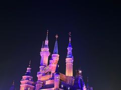 -上海迪士尼度假区