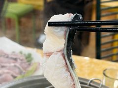 -金砂阿洲鱼册店