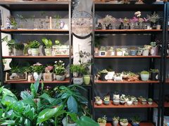 -何兮花店·气球派对鲜花店(马桥银春路万科城店)