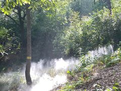 -北京西山国家森林公园