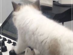 -拜鲁耶动物诊疗中心·宠家动物医院