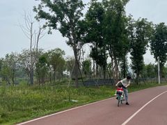 -白鹭湾湿地公园