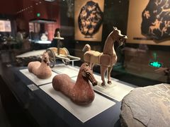 -呼和浩特博物馆