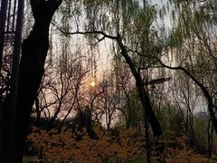 -元大都城垣遗址公园