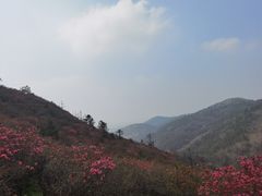 -木兰云雾山