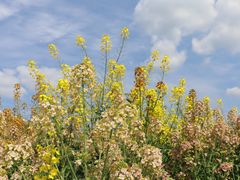 -中国天府农业博览园