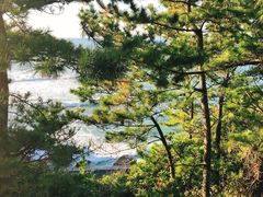 -南紀白浜 浜千鳥の湯 海舟