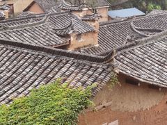 -杨家堂村