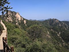 -大岭沟猕猴桃谷风景区