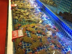 水产区-必点海鲜·鲅鱼水饺(鞍山西道店)