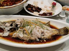 -天福苑(崇宁路店)