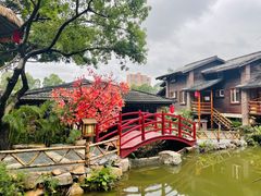 -观澜山水田园