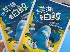 -芜湖新华联大白鲸海洋公园