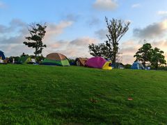 -春花秋色城市公园