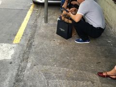 -明记牛杂(新马路分店)