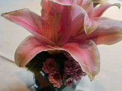 -芙蓉堂(武汉天地店)