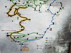 -天目山大树王景区