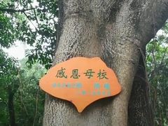 -广东金融学院(校本部)