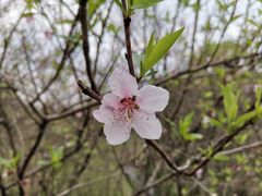 -大蜀山国家森林公园