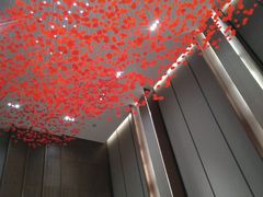 -嘉定凯悦·咖啡厅