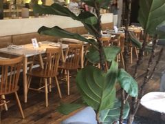 -the rug 飞毯 (朝阳公园店)