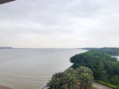 -大湾区中央湿地公园