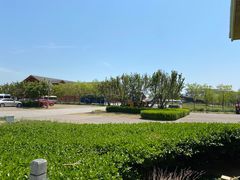 -天津东疆湾沙滩景区