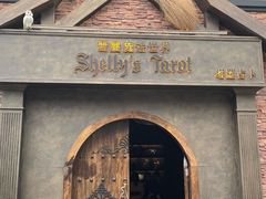 -雪灵魔法世界SHELLY’S TAROT(大良桂畔里店)