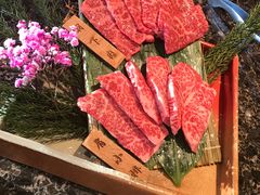 -老乾杯和牛烧肉(王府中环店)