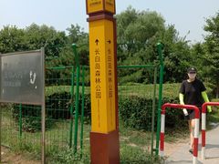 -长白岛森林公园