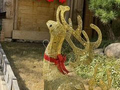 -叶叶菩提(太原别墅店)