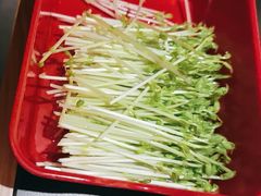 -番食园鲜食火锅(高新店)