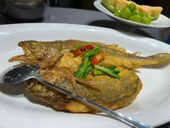 大黄鱼-海鲜e族(马王堆店)