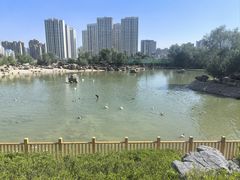 -青藏高原野生动物园