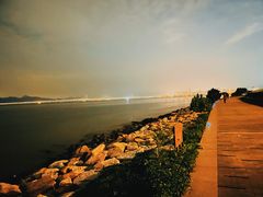 -深圳湾公园(南山区)