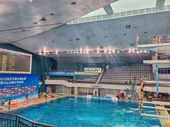 -重庆市奥林匹克体育中心-游泳跳水馆