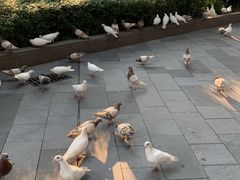 -顺联广场(陈村店)