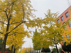 -西南民族大学南区(双流校区)