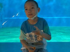 -芜湖新华联大白鲸海洋公园