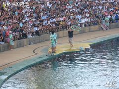 -秦皇岛乐岛海洋王国