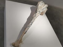 -上海油画雕塑院