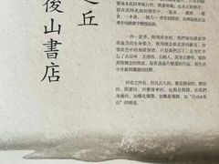 -自由之丘