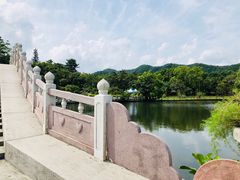 -大屏嶂森林公园
