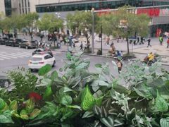 -Peet's Coffee皮爷咖啡(大学路店)