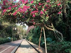 android_upload_pic-铁路文化公园