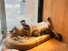 -有才叔的小馆(招商依云曲江店)