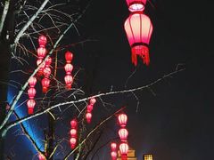 -大雁塔北广场音乐喷泉