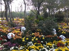 -北京植物园-展览温室