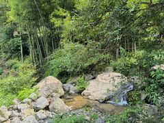 -藏龙百瀑风景区